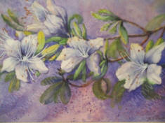 River Park Azalea original Watercolor by Michal Adams