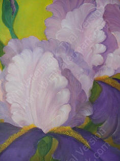 PINK IRIS by Sally Salyers original oil painting.jpg