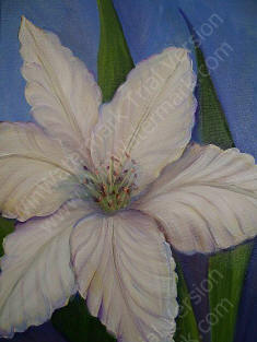 /WHITE DAYLILLIES by Sally Salyers mixed media painting.jpg