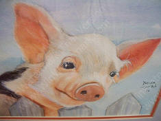 PINK PIG by Bruce Briar Combs watercolor.jpg